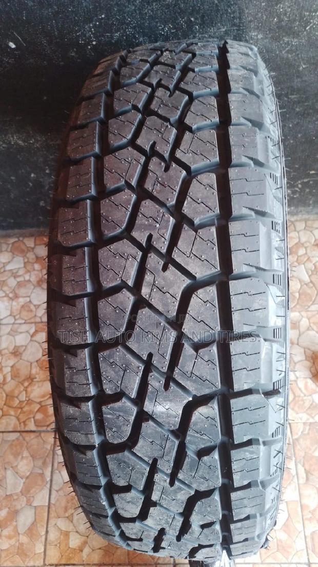 265/70r18 Delmax - main view