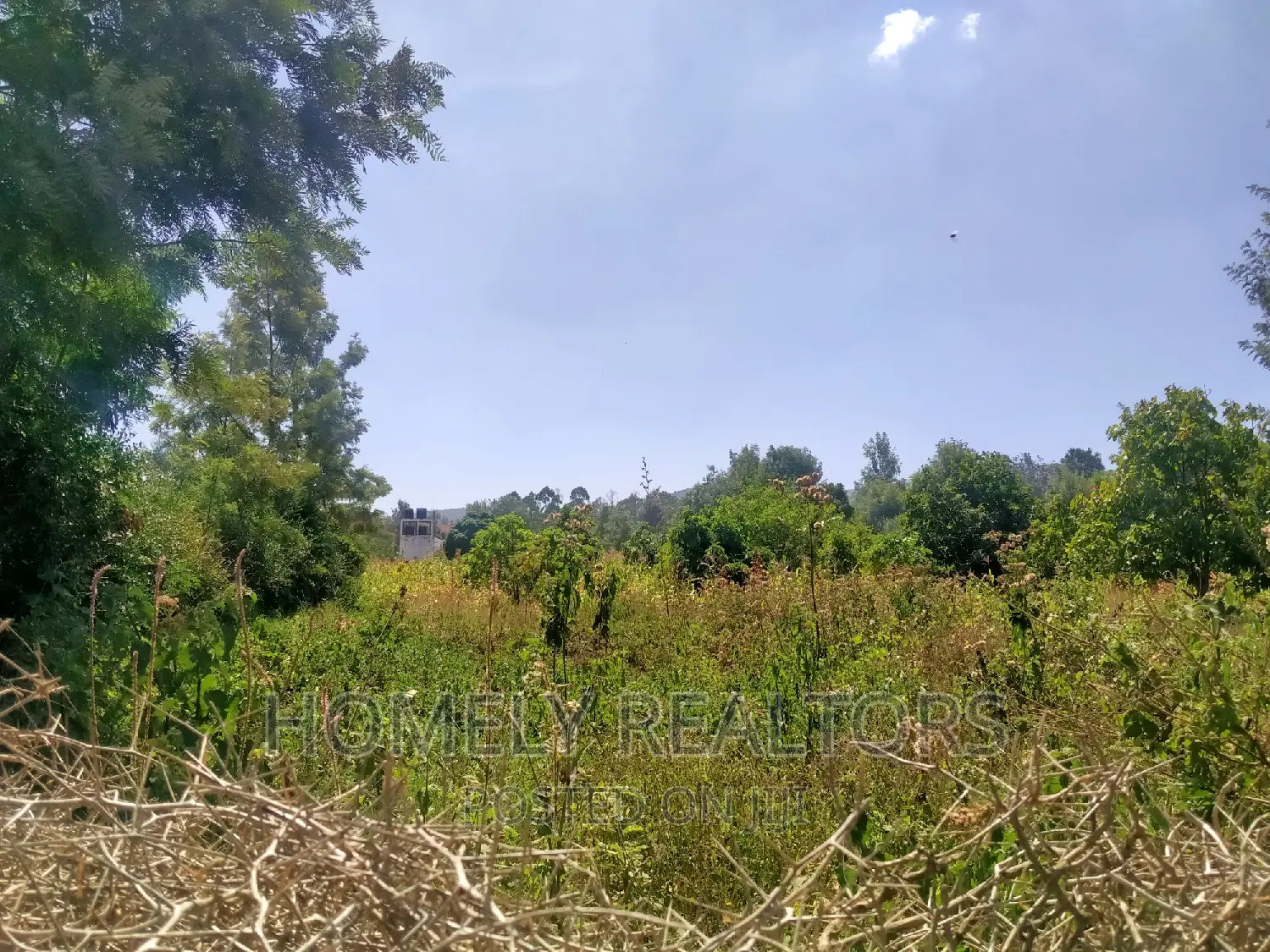 Quarter Acre in Kiserian Near Tarmac and Good Neighborhood