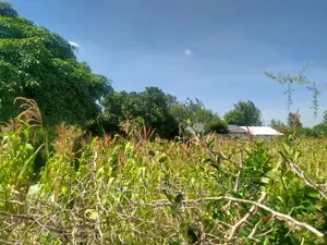 Quarter Acre in Kiserian Near Tarmac and Good Neighborhood
