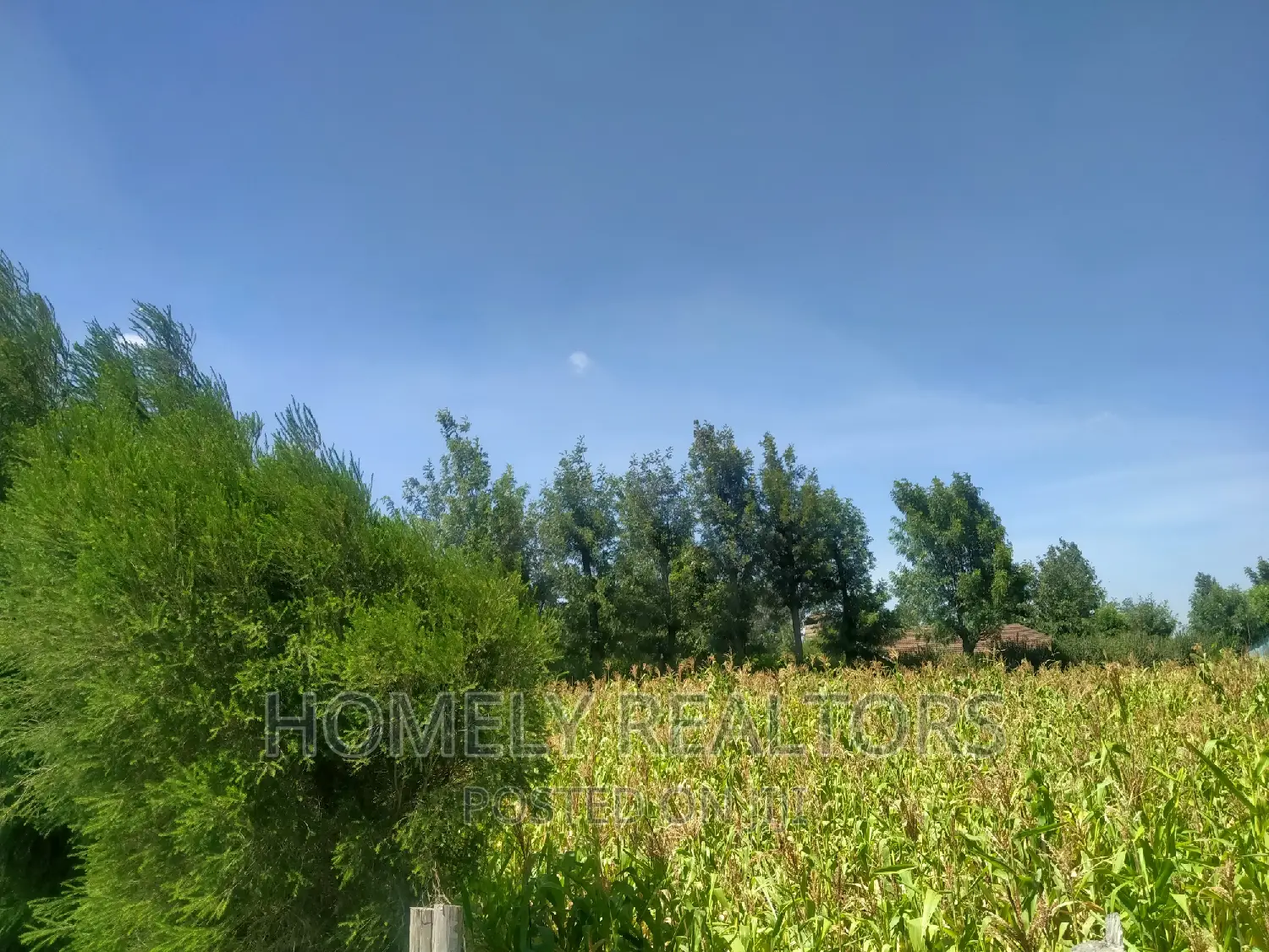 Quarter Acre in Kiserian Near Tarmac and Good Neighborhood