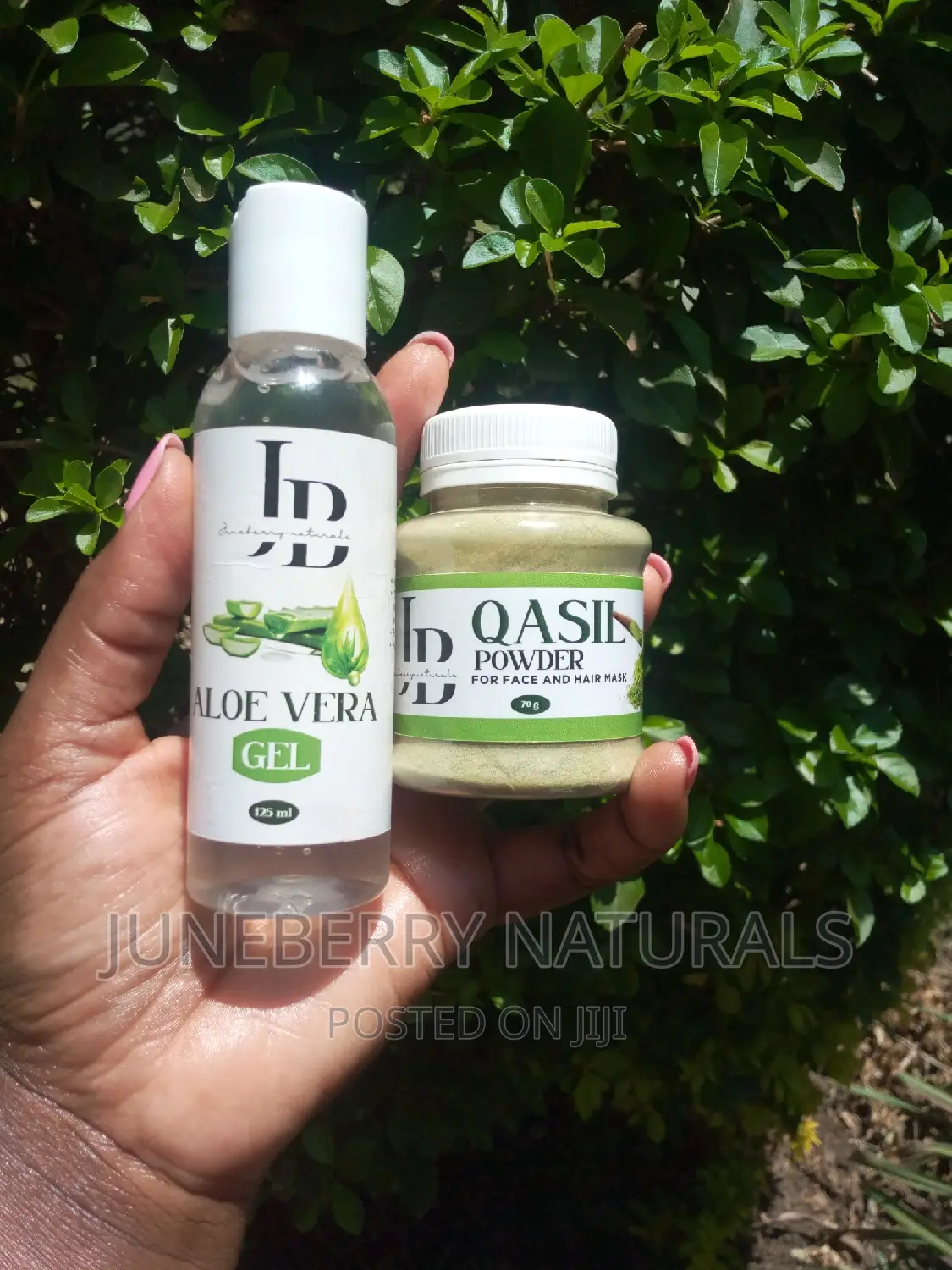 Cleansing Qasil and Aloe