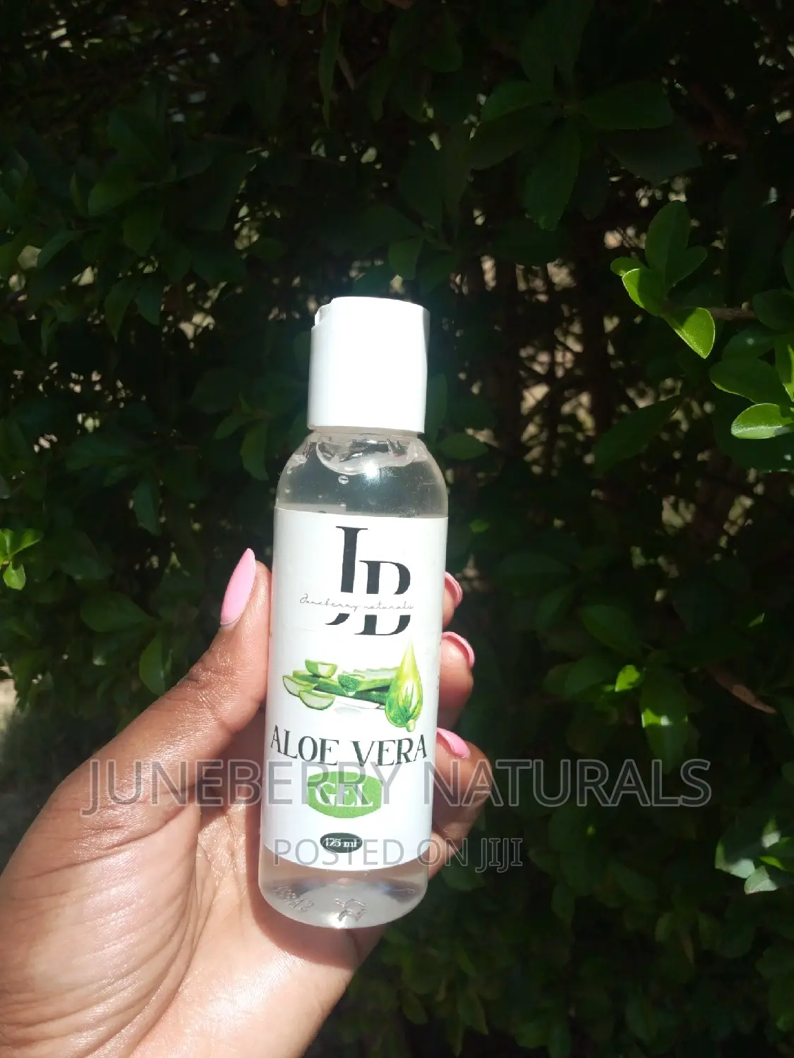 Cleansing Qasil and Aloe