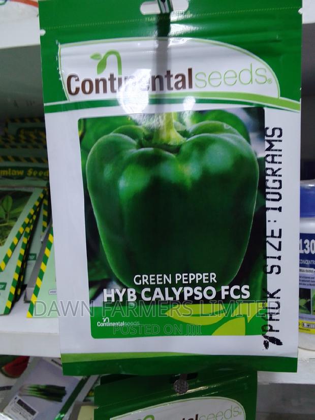 Hyb Calypso FCS (Green Pepper)