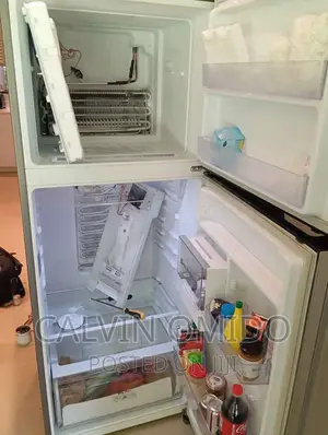 Fridge Appliances Repairs Technician