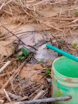 Test Pumping And Borehole Drilling Services