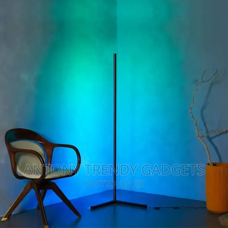 RGB Minimalist LED Corner Floor Lamp