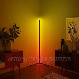 RGB Minimalist LED Corner Floor Lamp