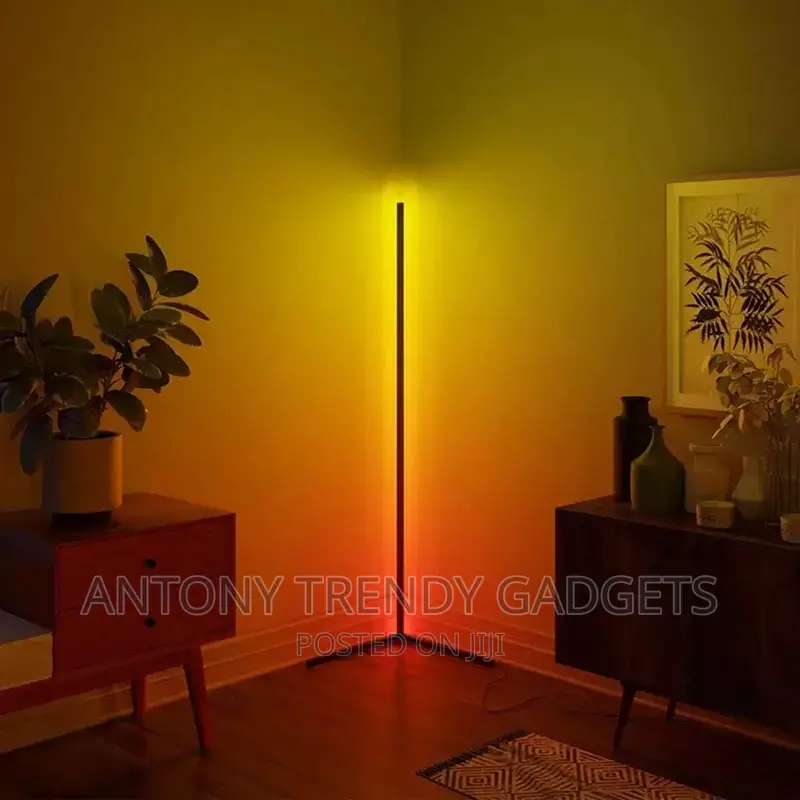 RGB Minimalist LED Corner Floor Lamp
