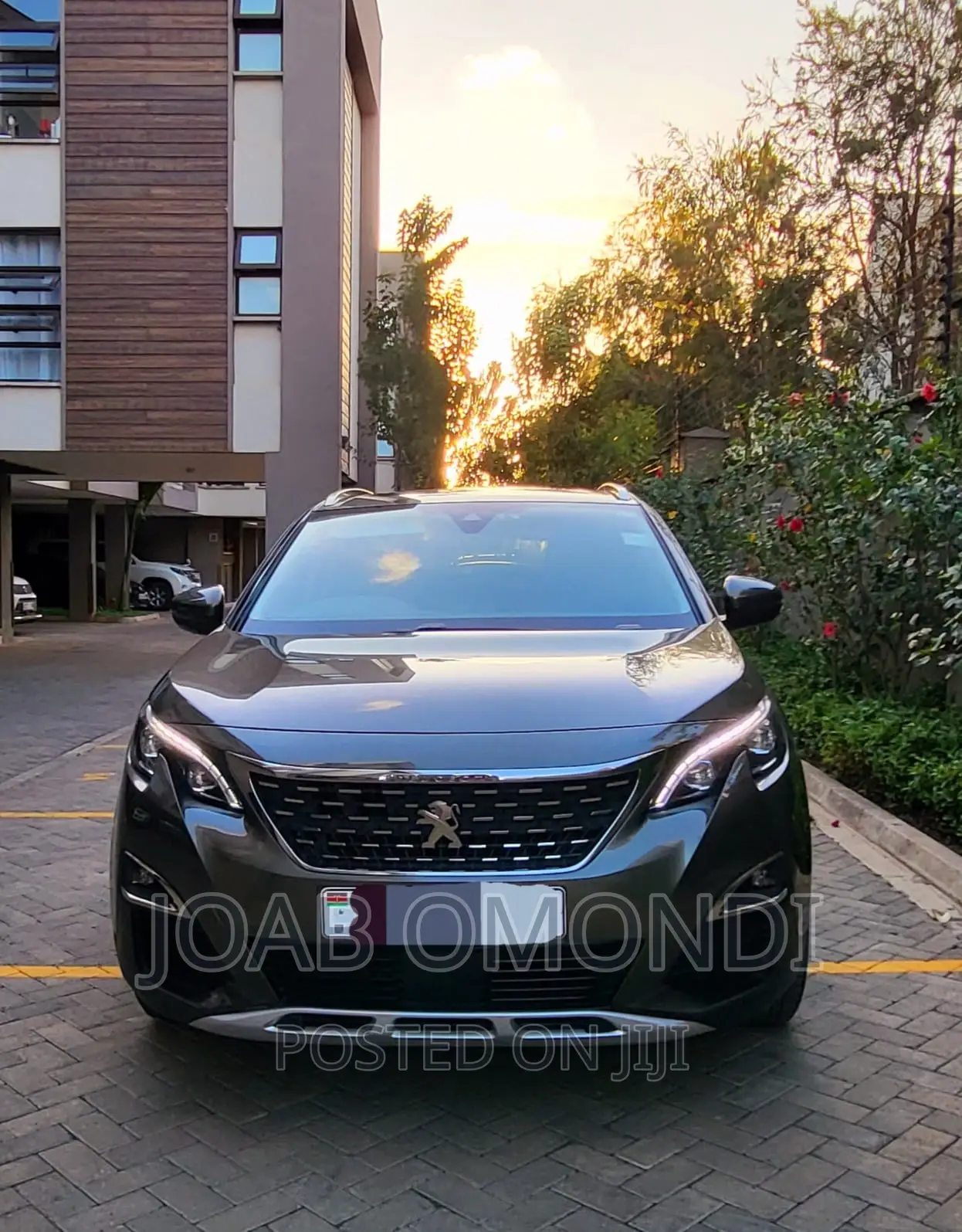 Peugeot 3008 2019 Gray