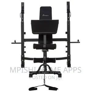 Workout Gym Incline/Decline Bench
