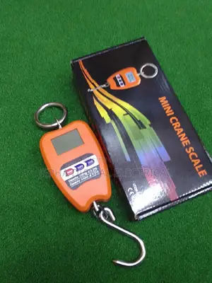 Mini Crane Scale,200kg