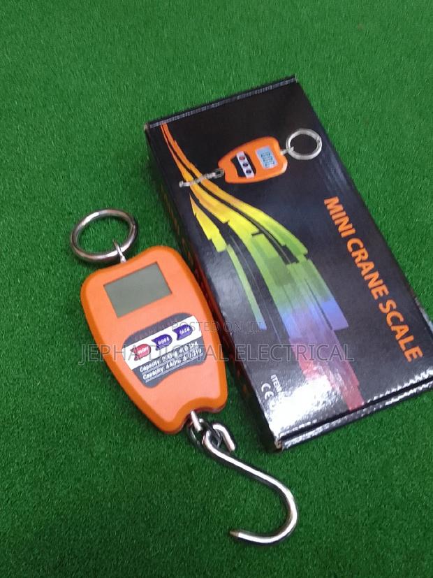 Mini Crane Scale,200kg