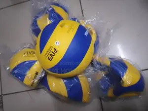 All Weather Mikasa Volleyball Ball