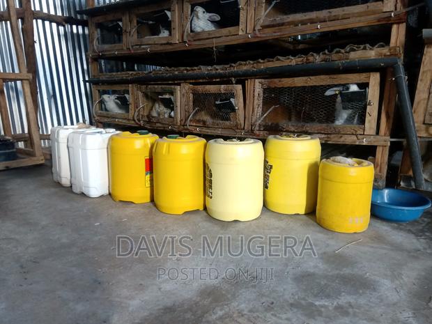 Organic Rabbit Urine - Per Liter 1 Litre - main view