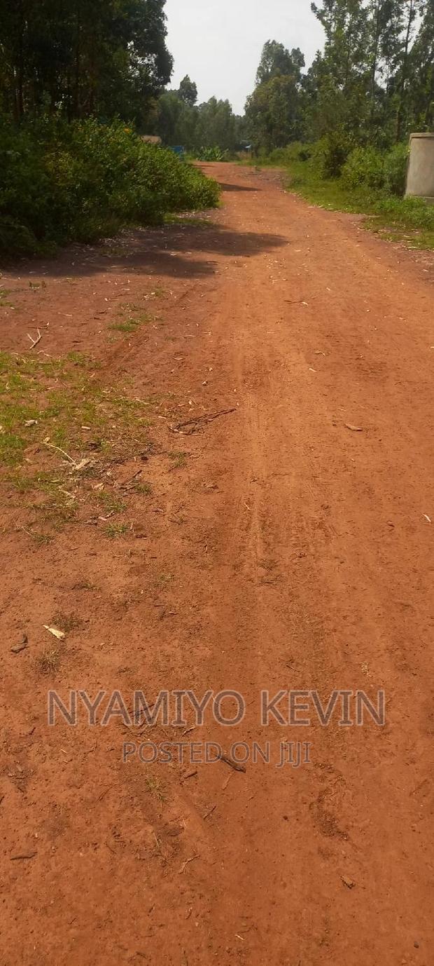 Busia Trailer Park Mundika - thumbnail 3