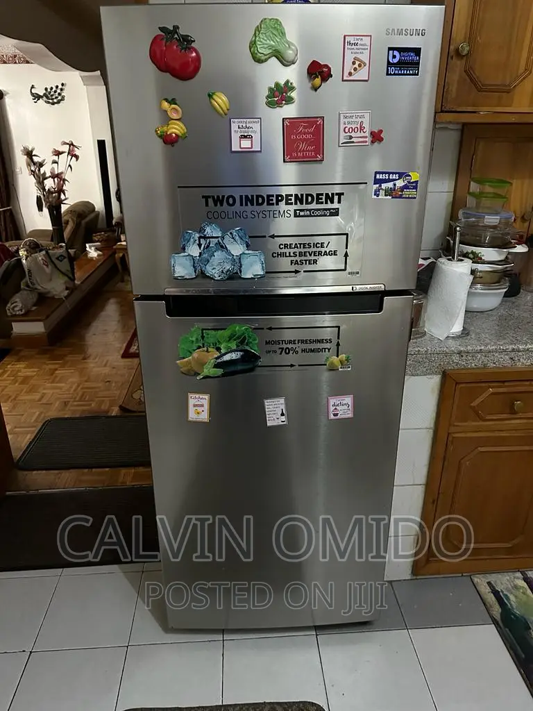 Fridge Inverter Repairs