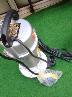 Max Polar 1hp (Submersible Water Pump) - thumbnail 2