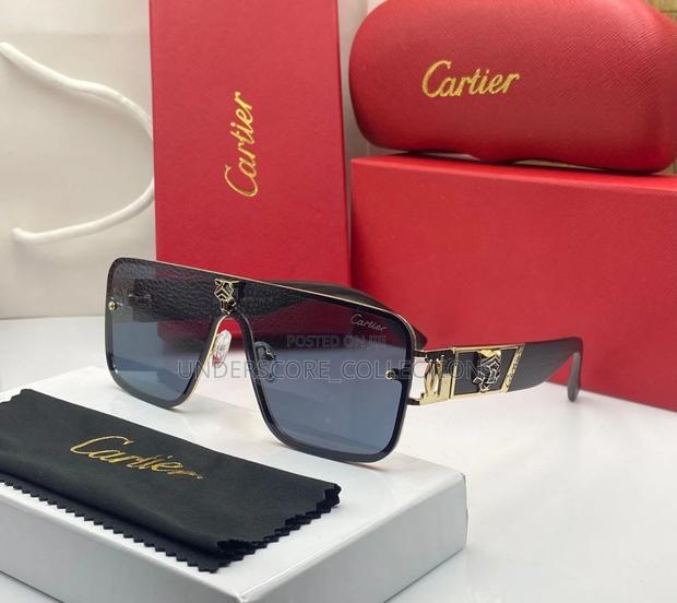 High-End Cartier Sun Glasses - main view