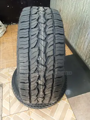 255/55r18 Dunlop All-Terrain