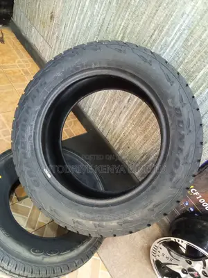 255/55r18 Dunlop All-Terrain