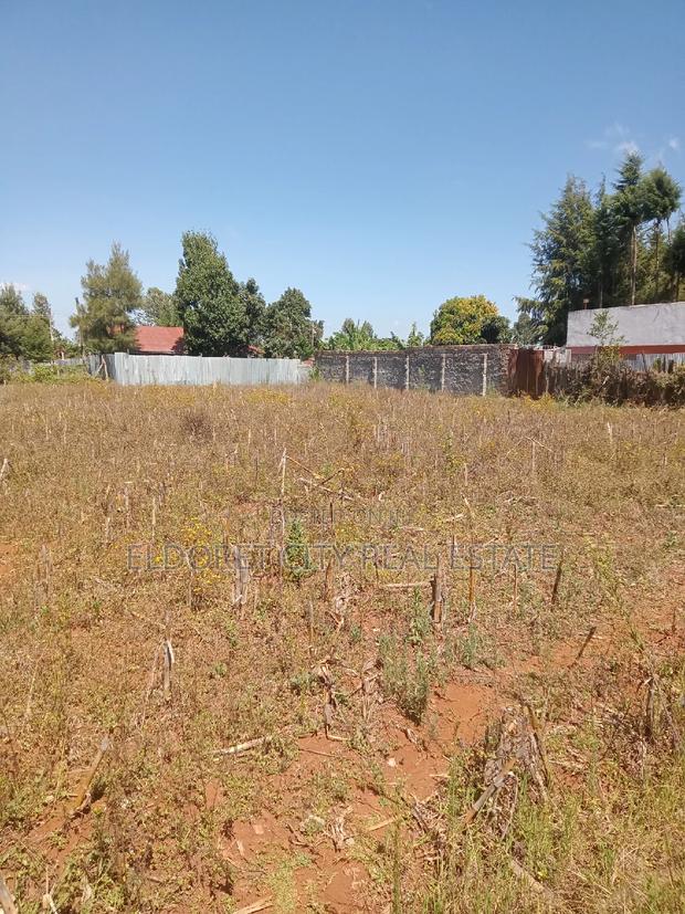 1/2 Acre Kimumu Ideal for Rental - thumbnail 3