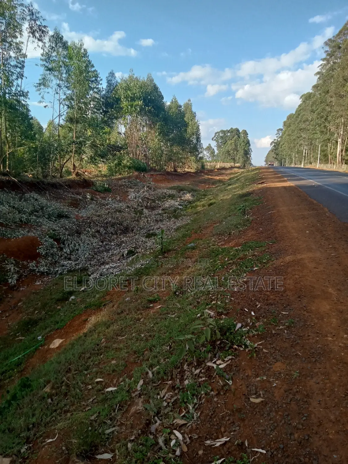 One Acre Plus 1/4 Kapseret Touching Tarmac