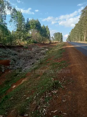 One Acre Plus 1/4 Kapseret Touching Tarmac