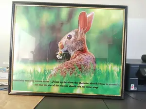 A2 Sizes All Colors Photo Frames, Picture Frames