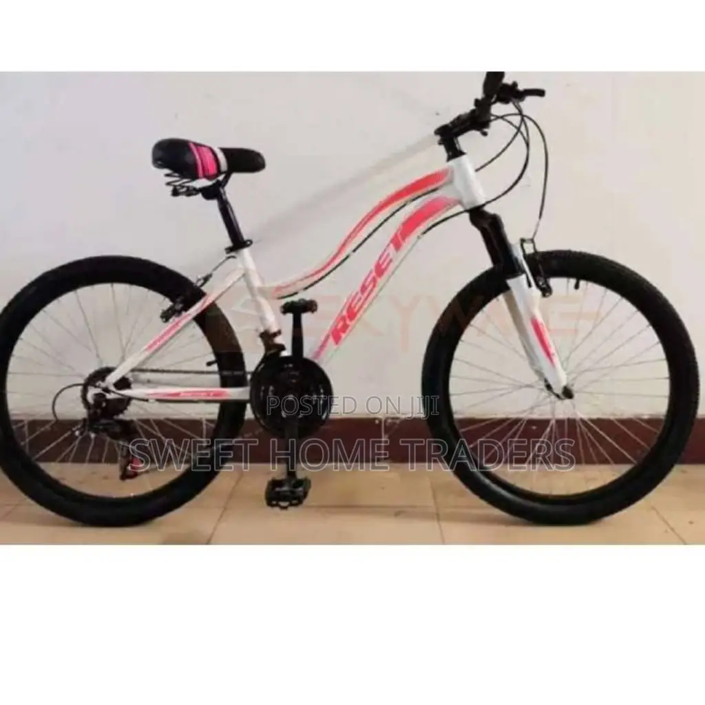 Reset MTB With Gear and Shox 24 Inches