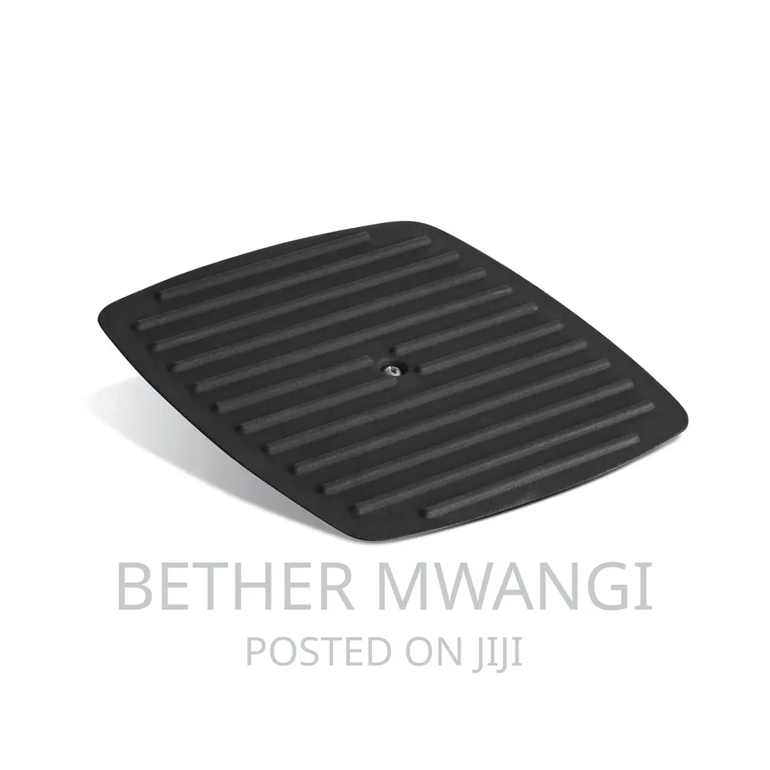 11 Inch Pre-Seasoned Cast Iron Grill With Grill Press .