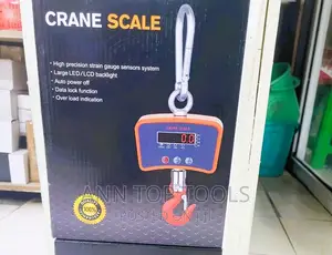 500kg Crane Scale