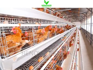 High Quality 4tiers 128/160birds Layer (Ni Rahisi Kutumia)