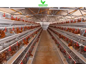 High Quality 4tiers 128/160birds Layer (Ni Rahisi Kutumia)