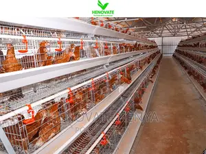 High Quality 4tiers 128/160birds Layer (Ni Rahisi Kutumia)