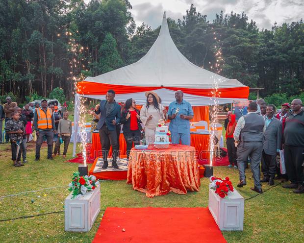 Indoor Fireworks Hire for Events - thumbnail 5