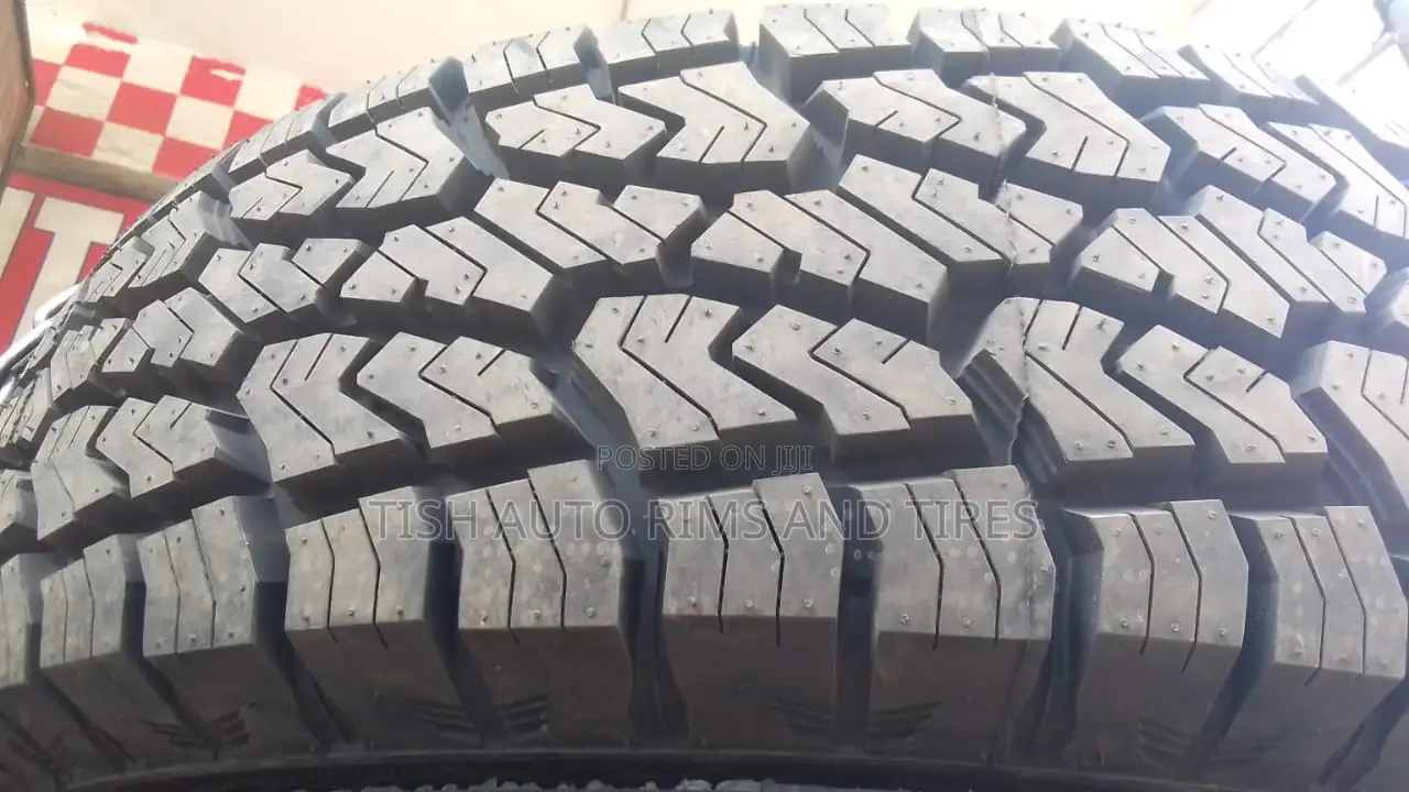 265/65r17 Sailun