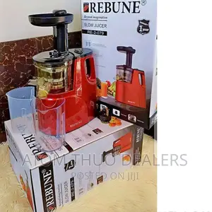 Rebune Slow Juicer RE-2-079