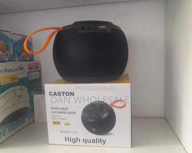 C15 Portable Speaker With FM/USB - main view