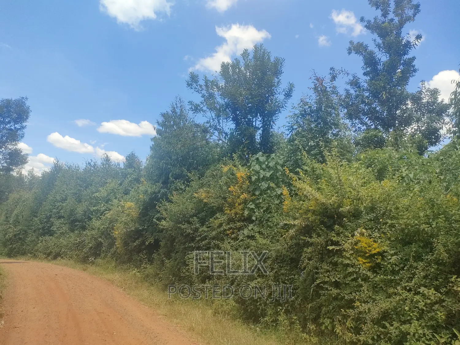 1acre Mukurweini /Maganjo