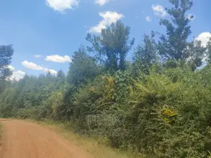 1acre Mukurweini /Maganjo