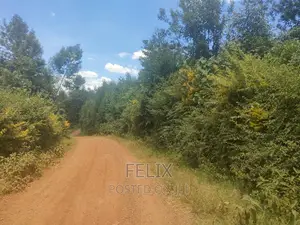 1acre Mukurweini /Maganjo