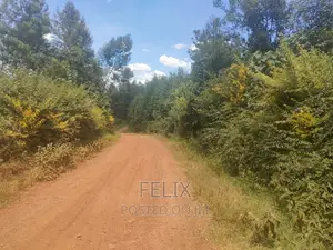 1acre Mukurweini /Maganjo