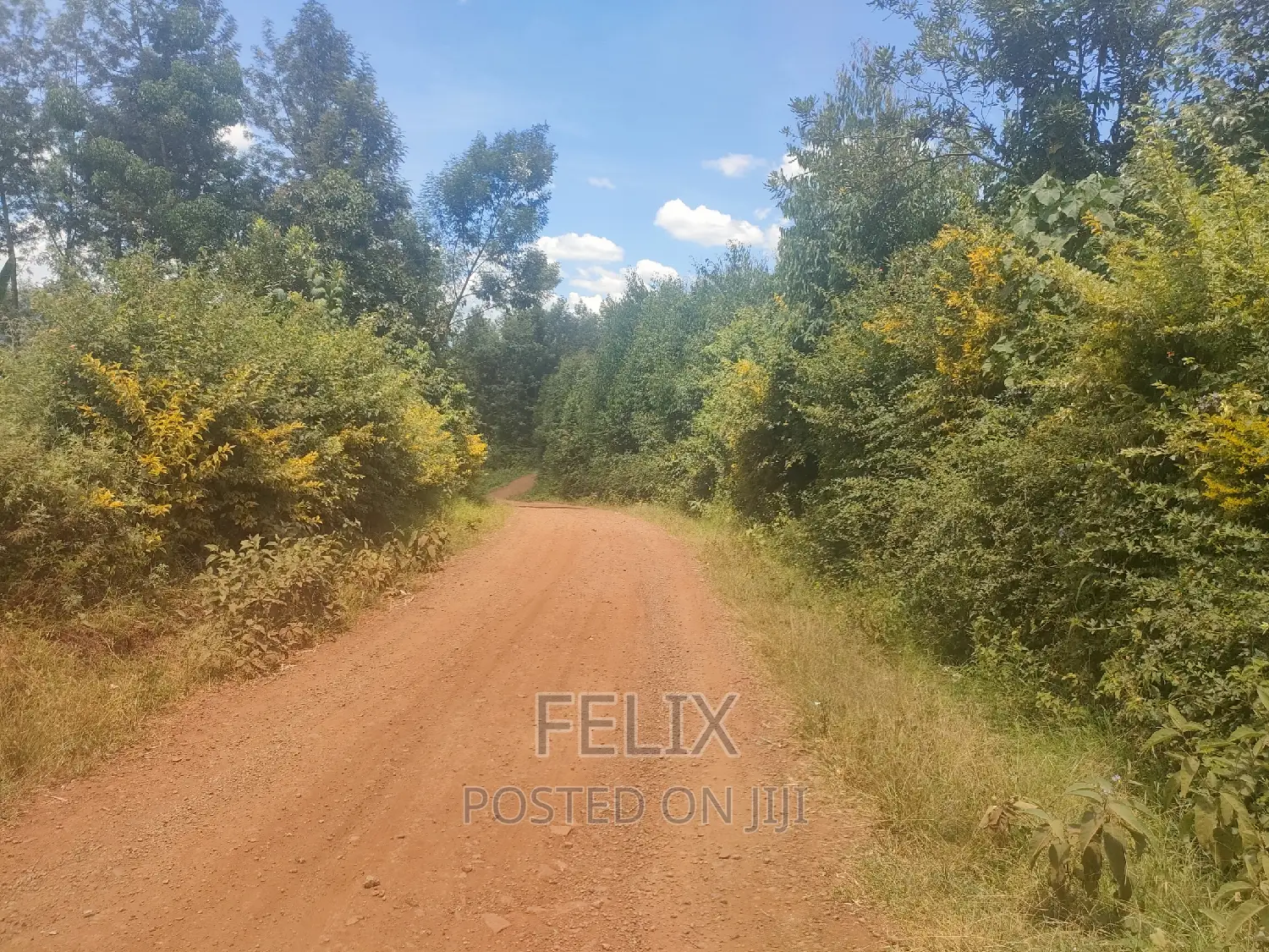 1acre Mukurweini /Maganjo