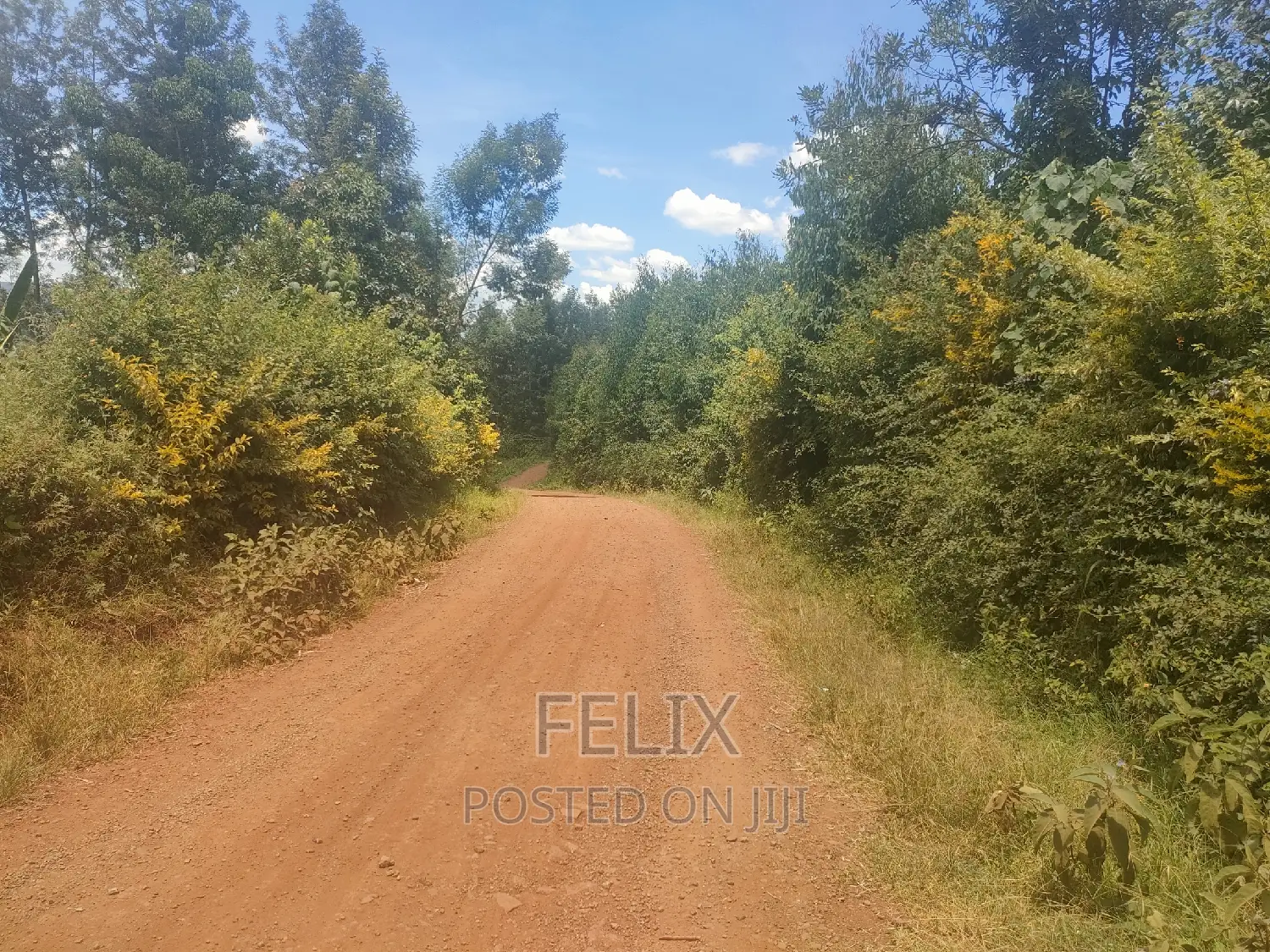 1acre Mukurweini /Maganjo