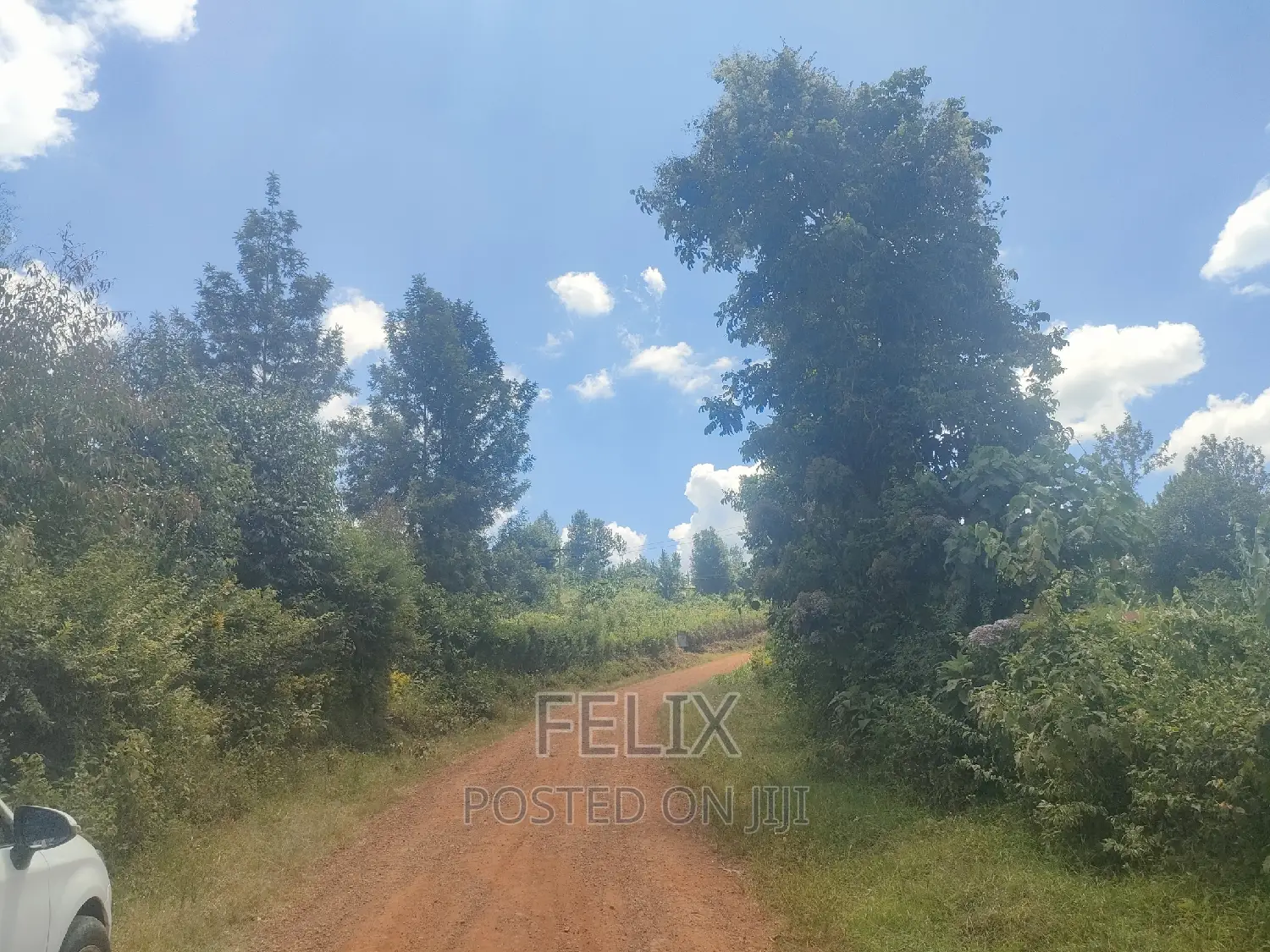1acre Mukurweini /Maganjo