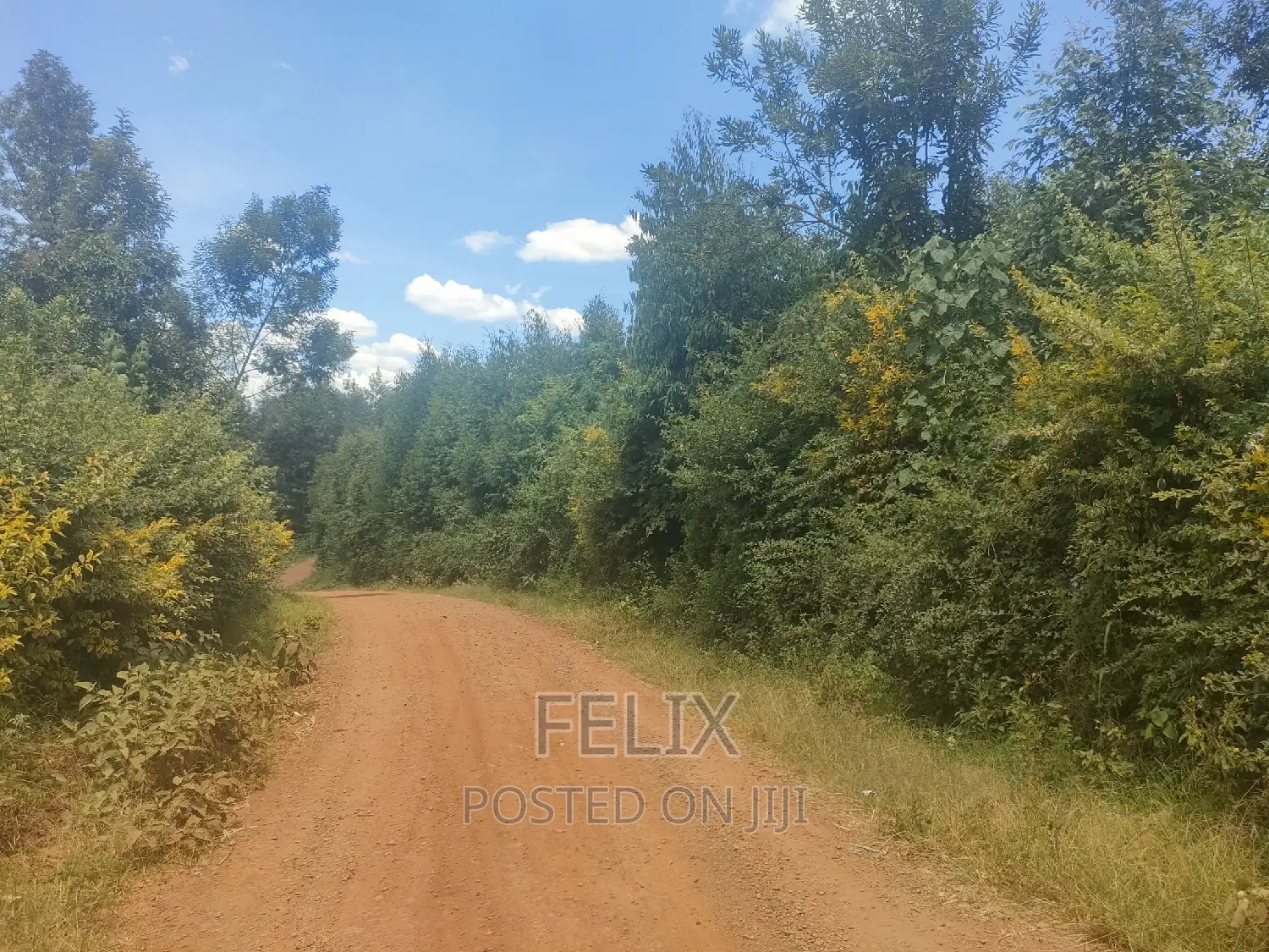 1acre Mukurweini /Maganjo