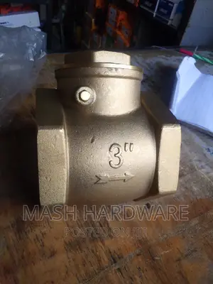 3" Non.Return Valve