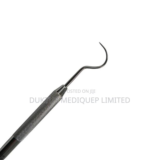 Dental Explorer - main view