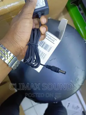 Yamaha Adapter, Pa150b, 12 Volts