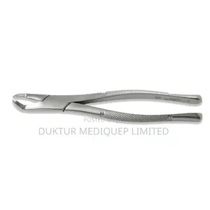 Dental Extraction Forcep Lower Molars